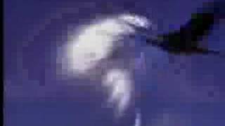 Watch Gamma Ray Eagle video