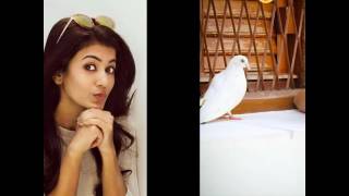 Anju Kurian New Official Video