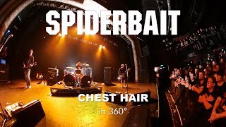 Watch Spiderbait Chest Hair video