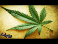 Pot Shop Macklemore Thrift Shop Parody images Pot Shop Macklemore Thrift Shop Parody