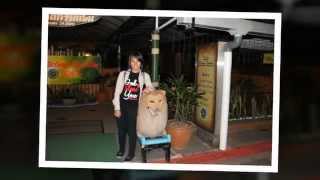 Pemuda Pangambatan Bandung Photo show