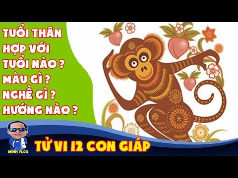 Tuổi Thân hợp với tuổi nào, màu gì, nghề gì, hướng nào theo phong thủy | Tử vi 12 con giáp