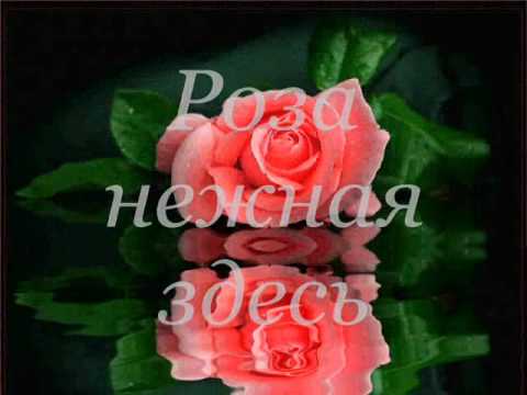 Поздравление с днем рождения женщине звуковые Поздравление с днем рождения женщине звуковые