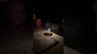 Cat Disappointed With Birthday Surprise