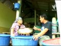 การเพาะถั่วงอก