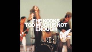 Watch Kooks Too Much Of Nothing video