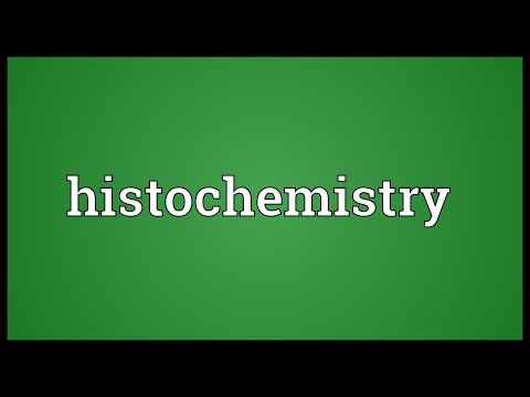 Header of histochemistry