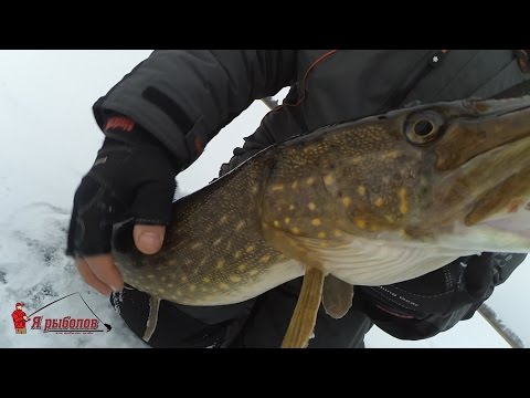 ловля щуки 2017 видео ловля щуки 2017 видео
