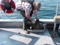 Research Project on Lake Superior