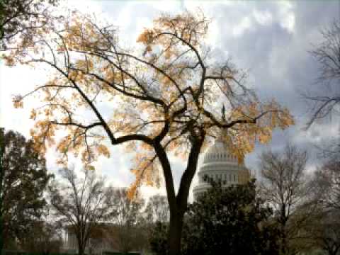 Collection of indian instrumental hindi 2014 bollywood songs...