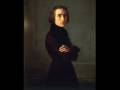 Franz Liszt  Hungarian Rhapsody No. 2 - Josef Bulva