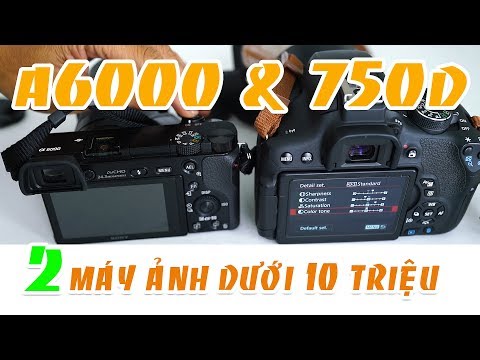 So sánh chi tiết Canon 750d VỚI Sony a6000 và thảo luận lựa chọn