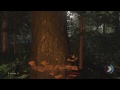 The Forest - Cold, Wet, Need an Adult - GameSocietyPimps