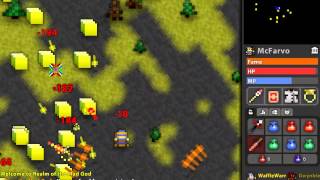 Rotmg Rrr W Mcfarvo & Wafflewarr