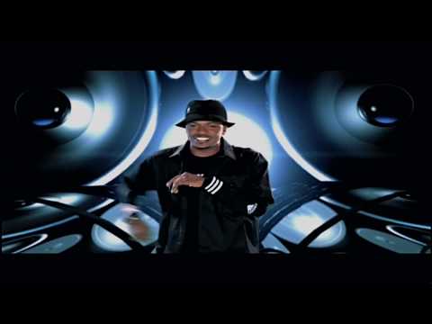 Call Of The Dung Bettle Video