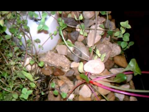 price you can expect to spend much the deposit/fee/rental is and I