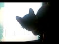 This video was uploaded from an Android phone.