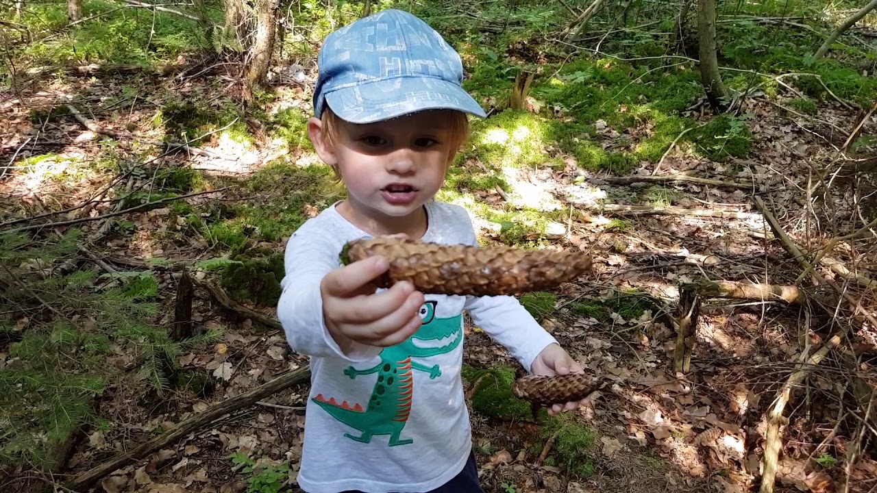 Порно Пошла В Лес За Грибами