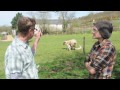 Steve Lamb meets the lambs at River Cottage