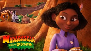 Feliz Aniversário Kate Madagascar Pequenos Selvagens