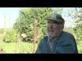 Fieldsports Britain - Hunting pigeons with airguns and the history of pheasant shooting