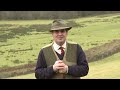 Fieldsports Britain - Hunting pigeons with airguns and the history of pheasant shooting