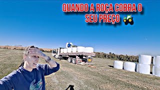 Carga Alta Estrada De Chao Só Pepino
