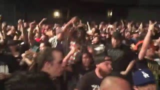 Watch Tiger Army FTW video