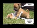 Stop the Abuse!!!!!!!