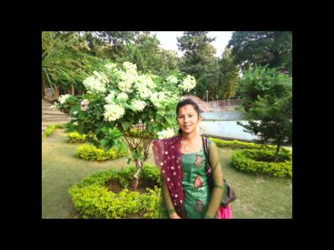 Tikuli hai mero by Sadhana Sargam