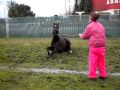 Paco going nuts!!- first time on grass while on stall rest