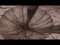 Disgaea 5: Alliance of Vengeance Opening Cinematic (Japanese)