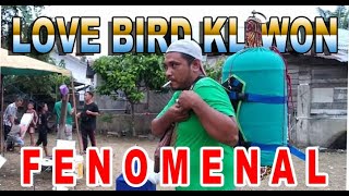 Download lagu Via Vallen Selow