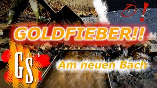 (3) Kleiner Bach, großes Gold! - Goldfieber - Goldwaschen in Sachsen