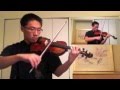 Legend of Zelda Medley (Lindsey Stirling Arrangement) - Tingrui Zhao