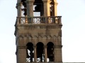 Tricesimo