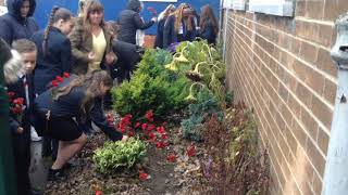 Remembrance Garden 2019