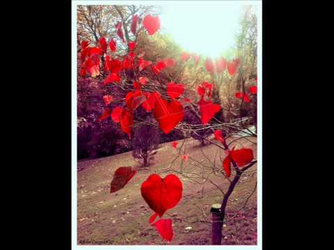 suraj hua madham instrumental.wmv