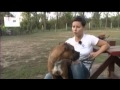 Pesty Fekete Doboz - Állatkínzások (2012. október 31)