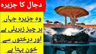 The Island of Dajjal | Dajjal ka Jazeera in Urdu | Socotra Island | Information world.