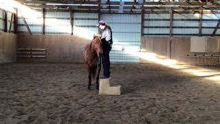 Lining your horse up to the mounting block