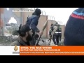 Syrian army on offense to retake Idlib prison