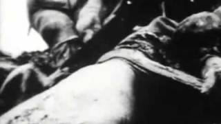 Watch Silencer Sterile Nails And Thunderbowels video