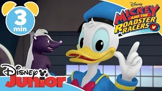 Mickey And The Roadster Racers Donalds Stinky Day - Magical Moment Disney Kids