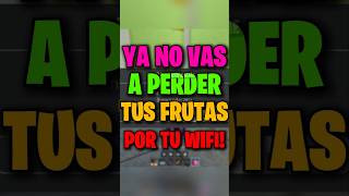 Ya No Vas A Perder Tus Frutas Por Tu Wifi Envidiame