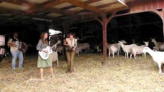 Watch Ditty Bops In The Meantime video