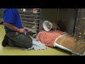 Healing A Shelter Dog's Broken Back And Wounded Spirit - PLEASE SHARE