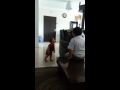 Baby best laugh