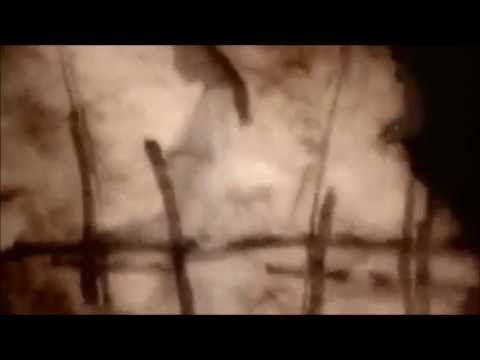 Ranker Video