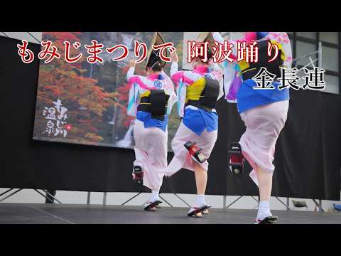 【阿波踊り2025】もみじまつりで阿波おどり 金長連 もみじ川温泉 【阿波踊り2025】もみじまつりで阿波おどり 金長連 もみじ川温泉